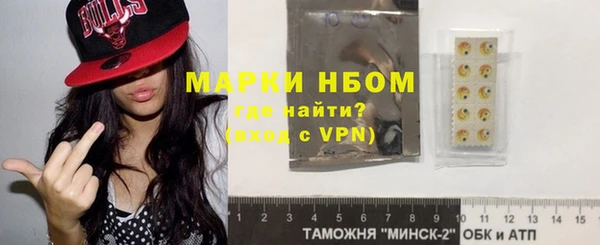 хмурый Нея