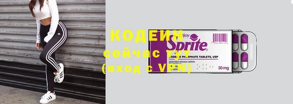 apvp Алапаевск