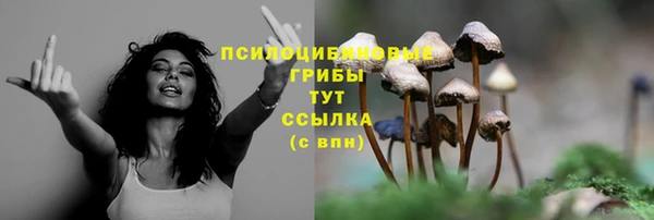 apvp Алапаевск