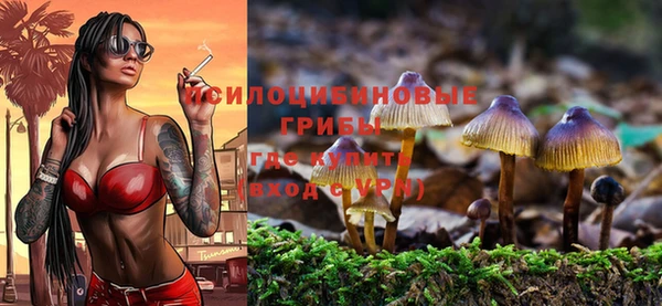 хмурый Нея