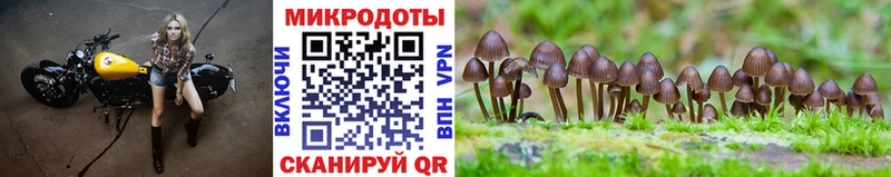 купить наркоту  гидра ONION  Галлюциногенные грибы прущие грибы  Новосибирск 