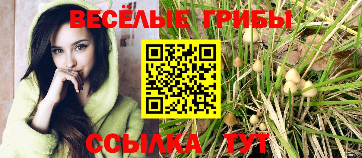 Новосибирск  Псилоцибиновые грибы Magic Shrooms  Вход с VPN 